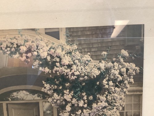 Wallace Nutting “The Coming Out of Rosa” Print Copyright 1912 - Picture 3 of 13