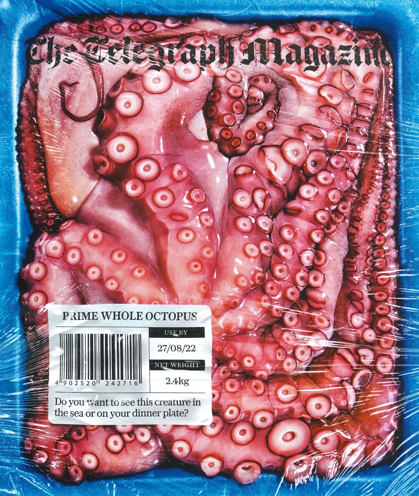 UK Telegraph Magazine: KT Tunstall, Felicity Jones, Kate Reddy, Mark Hix 27.8.22 - Picture 1 of 2