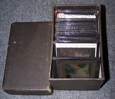 Lot of 24 Bird Educational Glass Slides Magic Lantern Glass Slide NY BOE in Box