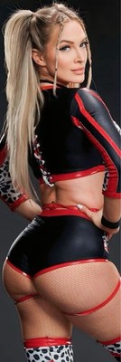 WWE GIANT 2 X6  VINYL BANNER - KARMEN PETROVIC