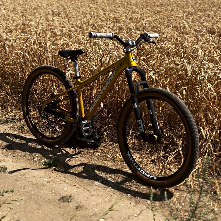 Nukeproof Cub Scout frame converted to a DJ runs mint, Fox 34 converted to 110mm