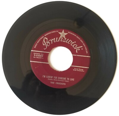 The Crickets - That'll Be The Day 45 VG+ Brunswick Rockabilly | eBay