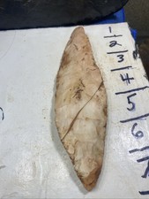 Fine Arrowhead Spesr Turkey Tail