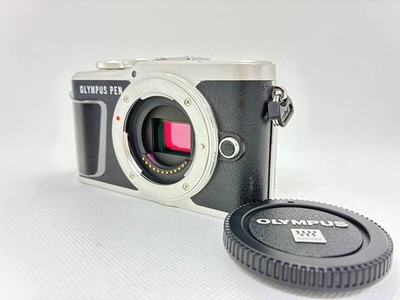 Olympus PEN E-PL9 Mirrorless Camera Kit with Accessories Gray 20MP Compact