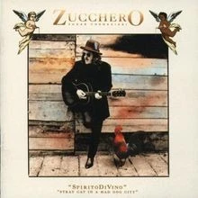 Spirito Divino (Stray Cat in a von Zucchero | CD | Zustand sehr gut - Bild 1 von 2
