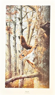 Rascals Red Squirrel Print James Kennedy Signed & Numbered 14'' x 24''