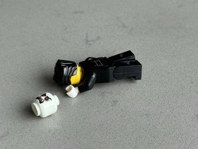 LEGO Lord Vampire Minifigure + Minifig Head Halloween Haunt Vampire hol095 40260