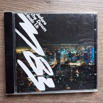 M83 - Before the dawn heals us