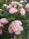 Bild 6 von 9