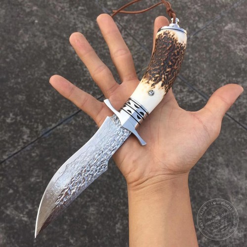 Cuchillo de caza para acampar al aire libre de supervivencia Damasco asta de ... - Imagen 5 de 12