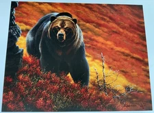 SILVERTIP - Print By Wildlife Artist Tom Mansanarez - Signed & Numbered