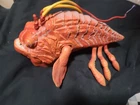 Vintage Hasbro Star Wars Opee Sea Killer Fish