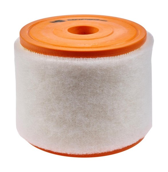 Champion Luftfilter CAF101081R Filtereinsatz FüR Audi A6 4GD 4G2 C7 4GC 4G5 A7-image