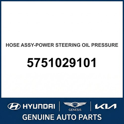 #ad Hyundai Pressure HOSE ASSY POWER STEERING OIL PRESSURE OEM New 5751029101 $185.31