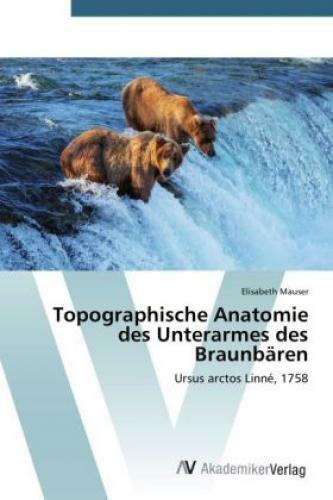 Thumbnail - Topographische Anatomie Des Unterarmes Des Braunbären Ursus Arctos