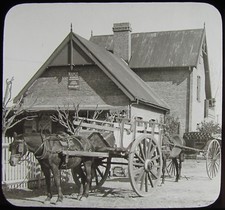 Glass Magic Lantern Slide HORSE CARTS ALTA GARCIA C1910 PHOTO ARGENTINA