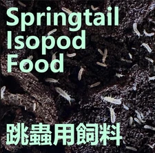 Springtail Isopod Food Bioactive Microfauna - All Natural Fresh & Pack to order