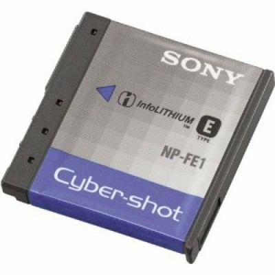 Dste 2 pçs NP FE1 bateria caso protetor + viagem e carregador de carro para sony cyber shot DSC