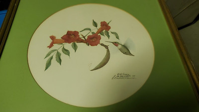VTG Webb Garrison Signed Print Humming Bird 1975 Extremely RARE Framed Wild Life