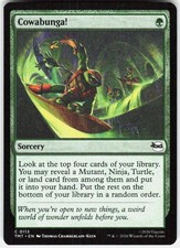 Cowabunga! 113 Teenage Mutant Ninja Turtles Magic the Gathering