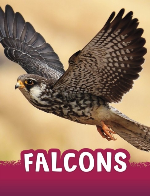 Falcons by Jaclyn Jaycox (Paperback Book)