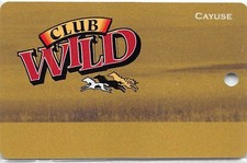 Wildhorse Casino - Pendleton, OR - 4th Issue Slot Card, small level text (BLANK)
