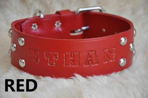 Leather Dog Custom Collar Personalized Free 2" WIDE Custom Quality Leather - Picture 7 of 7