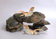 Small JUVENILE Reptile Phyllite Schist Basking Platform/Bridge 5.5 x 3 x 2.5"
