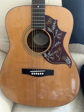 Yamaha FG 400A Acoustic Guitar Plus Hornby Vintage Guitar