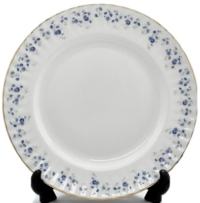 Royal Albert ''Memory Lane'' Dinner Plate A True Collector's Dream c.1970