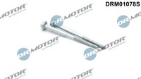 Dr.Motor Automotive Schraube, EinspritzdüSenhalter DRM01078S FüR Audi Seat