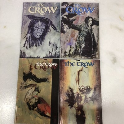 The Crow Issues #5,6,7,8 Jon J. Muth Writer Kent Williams Cover 1999 Image Comic