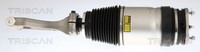 Luftfederbein Triscan 8720 81103 FüR Tesla Model 100D Awd 60D 75D 90D P100D P90D