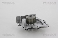 Triscan Wasserpumpe, MotorküHlung U.A. FüR CitroËN, Ds, Fiat, Ford, Ford Usa
