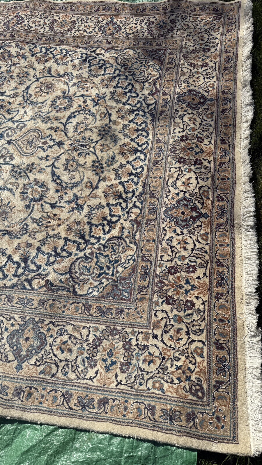 Picture 4 of 15