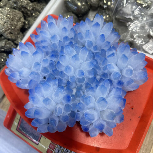Nuevo Encontrar Azul Fantasma Cuarzo Cristal Racimo Mineral Espécimen Decoración Curativa - Imagen 15 de 15