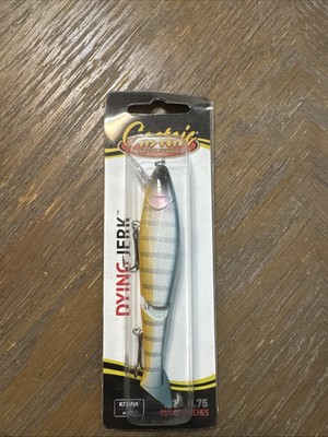 Castaic Baits Dying Jerk Jointed Jerkbait 1/2 oz 4.75'' Color: Sexy Perch