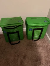 Set of 2 Amazon Fresh Reusable Foldable Insulated Cooler Bag Discontinued Green