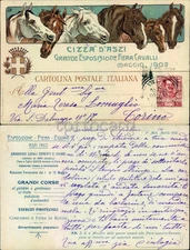 ASTI CITTA'-ESPOSIZIONE FIERA CAVALLI 1902-D17-27