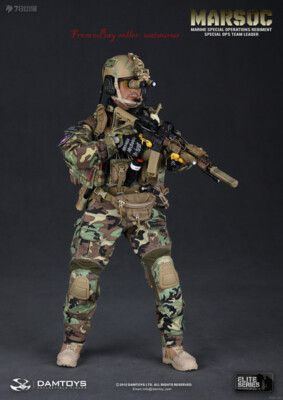 DAMTOYS製 Marsoc 1/6（約30cm）サイズのアクションフィギュア Perfect Damtoys 78006 1/6 Marsco Marine Special Operations
