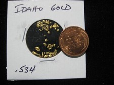 IDAHO GOLD NUGGET .534 GRAM 5824.04 per troy oz