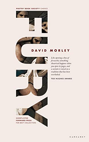 Fury - David Morley