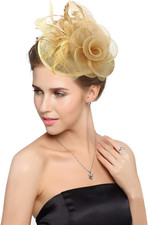 Z X Sinamay Fascinator Pillbox Hats for Women Feather Flower Church Derby Headba