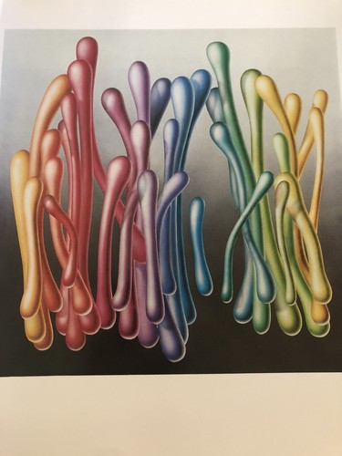 Yankel Ginzburg (1985) Paintings 1st Edition HCDJ w/Color Plates - Picture 12 of 17