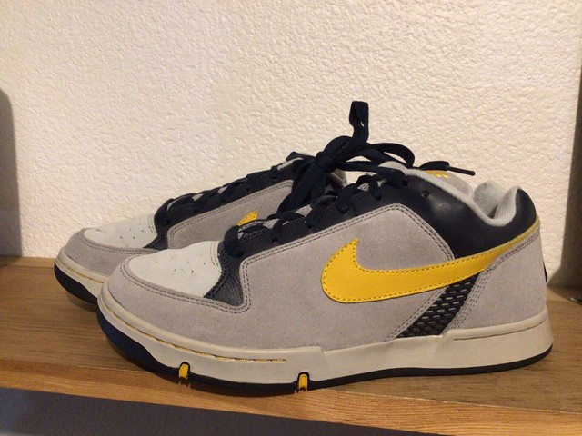 nike zoom team edition