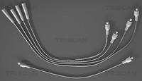 ZüNdleitungssatz Triscan 8860 4008 FüR Taunus BMW Ford Hypalon 5 GBS Gbns Gbtk 3