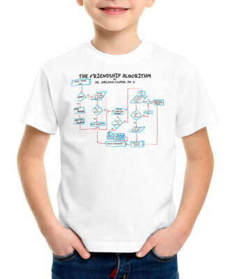 Sheldon Friendship Algorithm T-Shirt Big Cooper Bang Freundschaft Theory Formel