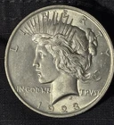 1923-P Peace Dollar Bu++ Original Skin