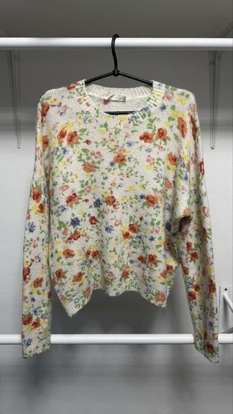 Women Sezane Sweater Multicolor