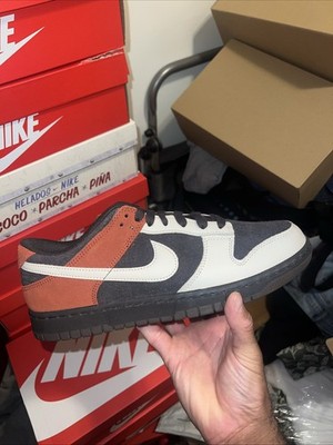 Nike Dunks Fv0395200